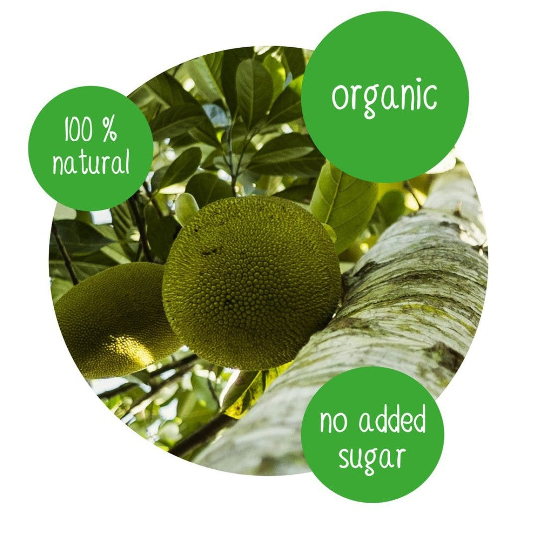 Organic jackfruit growing on tree – 100% natural, no added sugar, DoGood dried fruit source from Uganda