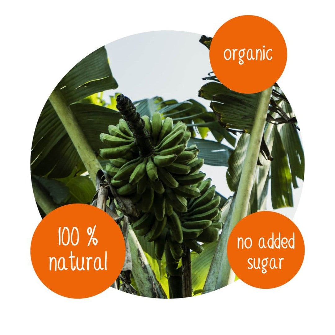 Organic Ndizi bananas growing on tree – 100% natural, no added sugar, DoGood dried fruit from Uganda