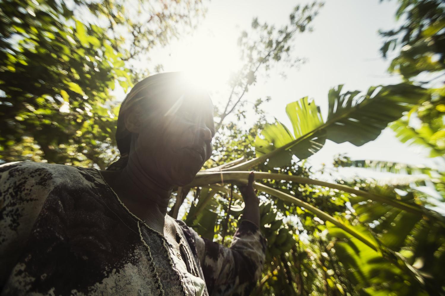 Ugandan farmer carrying banana leaves under bright sunlight – representing DoGood Earth’s sustainable agriculture and community farming practices