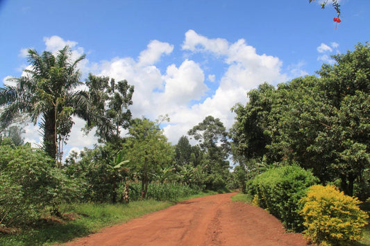 Ugandan countryside view with red dirt road, lush farmland, tropical trees, and blue sky with clouds