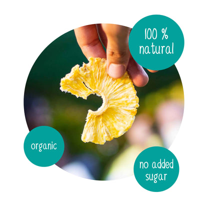 DoGood Dried Pineapple Singles (Snack Pack)