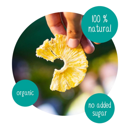 Hand holding a dried pineapple ring snack, organic dried pineapple slice, 100% natural fruit with no added sugar, tropical fruit snack ingredient for Do Good dried pineapple