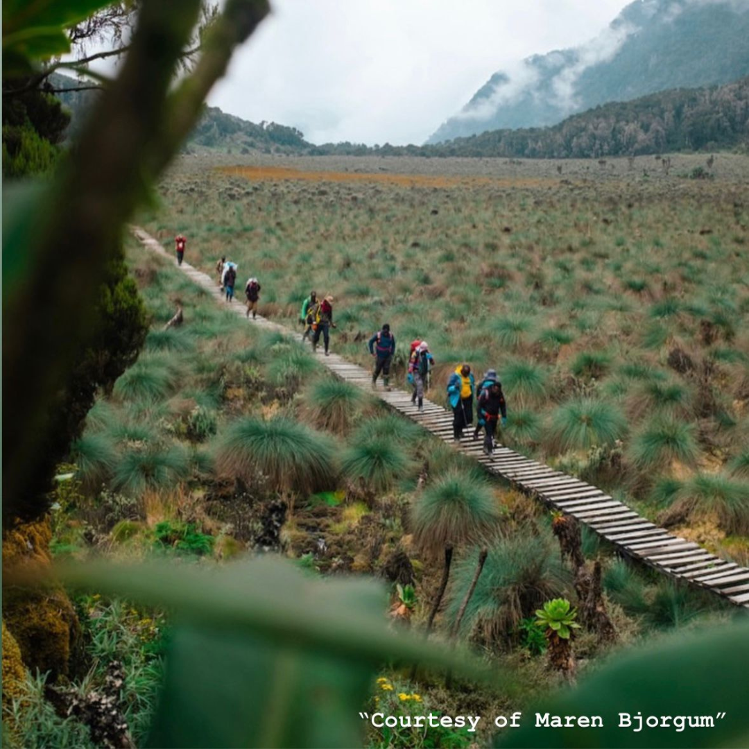 Hikers walking through a natural landscape representing sustainable commerce and regenerative economy principles by DoGood, promoting environmental responsibility and ethical business practices