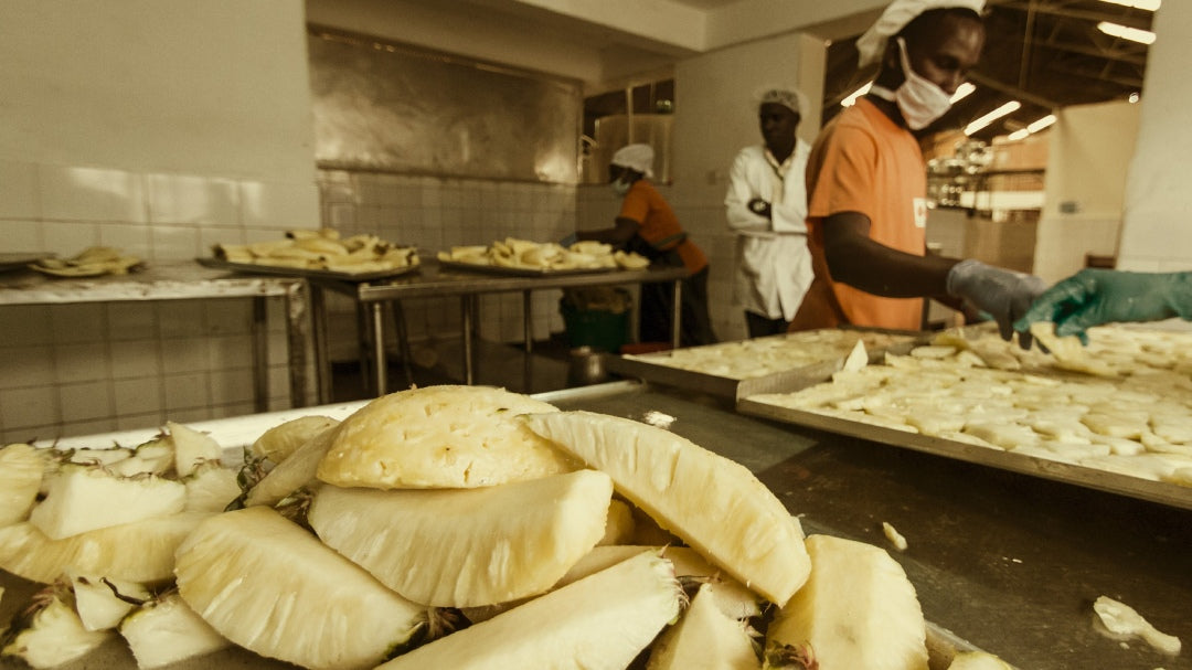 Workers preparing fresh pineapple slices in a food processing facility for natural dried fruit snacks
