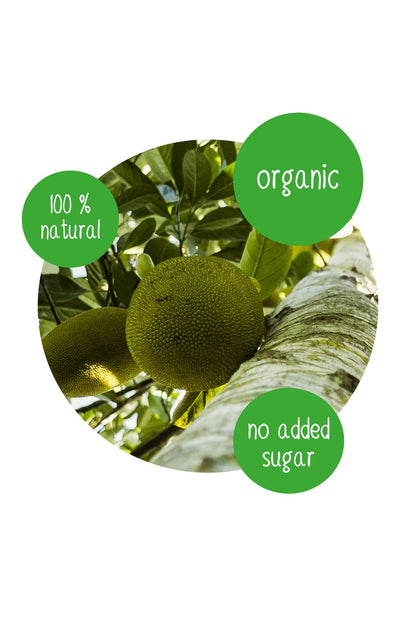 DoGood Dried Jackfruit Singles (Share Pack)