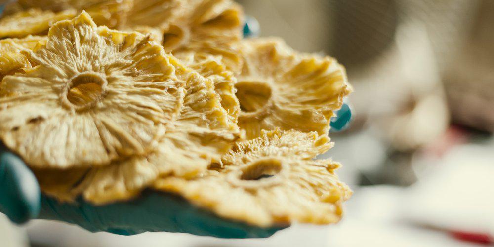 Close-up of organic dried pineapple slices from Uganda held by worker in food processing facility