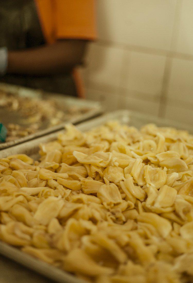 Fresh organic jackfruit pods being prepared for drying in Uganda food processing facility