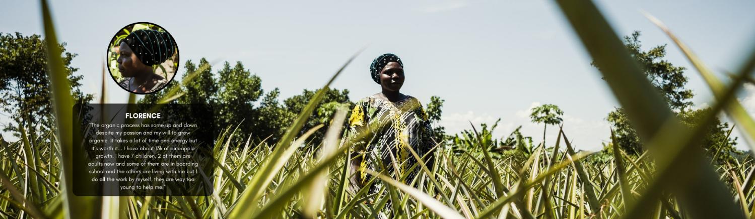 Florence, Ugandan farmer, standing in her organic pineapple field, sharing her story of resilience and sustainable farming with DoGood Earth