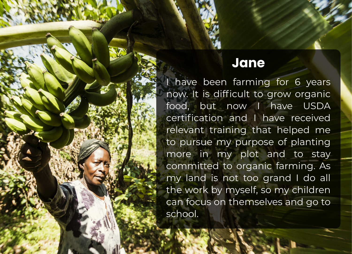 Close-up of a Ugandan farmer carrying fresh green banana leaves on her shoulder under bright sunlight, representing sustainable small-scale farming and organic agriculture practices in East Africa.
